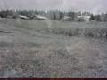 dsc00707.jpg