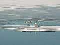 000101_svanar.jpg 000101_svanar.jpg