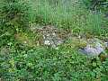 000804_dsc01013.jpg 000804_dsc01013.jpg