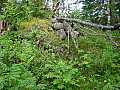 000804_dsc01017.jpg 000804_dsc01017.jpg