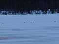 010422_orrspel01.jpg 010422_orrspel01.jpg