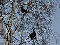 020302_DSC04063.JPG 020302_DSC04063.JPG