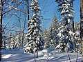 020302_DSC04069.JPG 020302_DSC04069.JPG