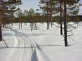 020407_DSC04227.JPG 020407_DSC04227.JPG