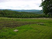 01_DSC00799.jpg 01_DSC00799.jpg