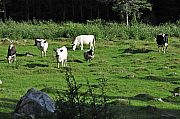 04_ND0_6516.jpg 04_ND0_6516.jpg