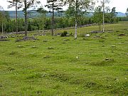 06_DSC00805.jpg 06_DSC00805.jpg