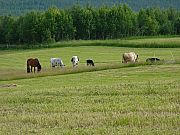 07_DSC02925.jpg 07_DSC02925.jpg